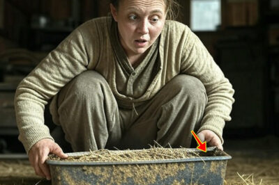 Похоронивши мужа, Аня решила разобрать вещи в сарае, куда её муж никогда не разрешал заходить. Она ЗАКРИЧАЛА, увидев ЭТО