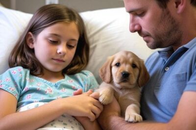 He gave his dying daughter a dog from a shelter and left… Returning early, he found something INCREDIBLE! Tears well up in everyone who learns the truth…