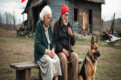 Çocukları tarafından terk edilen yaşlı çift, harabe dağ kulübesini cennete çevirdi