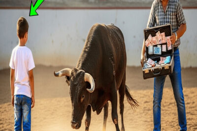 ÇİFTÇİ, BOĞASINI KİMSENİN EHLİLEŞTİREMEYECEĞİNE 15 MİLYON TL BAHİS YAPTI. TA Kİ BİR ÇOCUK…