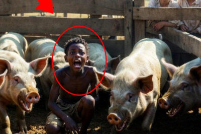 Domuz Ahırı: Masumiyet ve Canavar