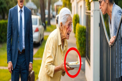 Milyoner oğul seyahatten döner, annesini komşulardan yemek isterken bulur… Annesi ne açıkladı…