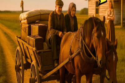 ÇIFTÇI KADIN YAŞLI EBEVEYNLERİNİ 1 ESKİ ARABAYLA KOVAR… AMA KADER ONLARA BİR SÜRPRİZ HAZIRLAR