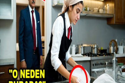 Milyarder, Hizmetçinin Kızını Saat 3’te Bulaşık Yıkarken Gördü — Okulu Neden Kaçırdığını Öğrendi