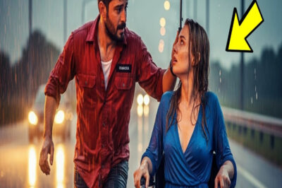 Bekar baba, yağmurda tekerlekli sandalyede terk edilen kadını kurtardı… Gerçek onu şok etti.