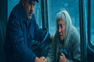 Bir otobüs şoförü donmak üzere olan yaşlı bir kadını alır… ve ertesi gün onun vasiyetini teslim alır