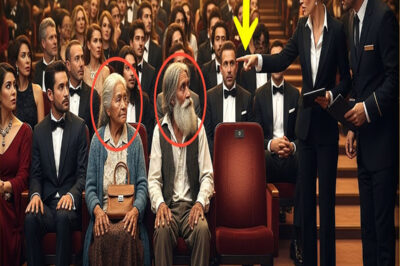 Organizatör yaşlı çifti birinci sıradan kovdurmak istedi… CEO içeri girince hayatının dersini aldı