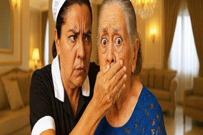 Kayınvalidenin Zehirli Çayı: Bir Hizmetçinin Sessiz İhanet Uyarısıyla Kurtuluş